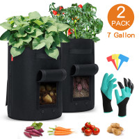 2 Pflanzentaschen in Schwarz 2 Pflanzentaschen in Schwarz